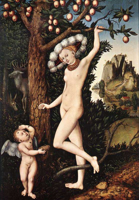 Венера и Амур (1530)