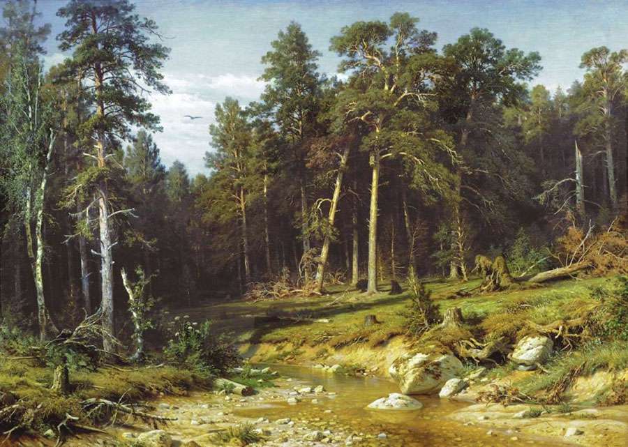Сосновый бор (1872)